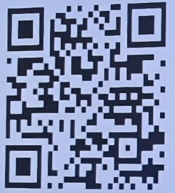 Picture6